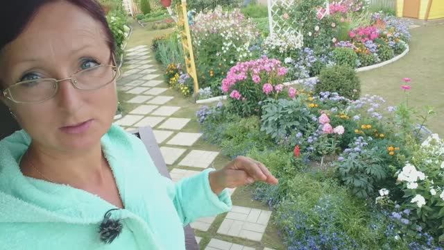 Видео привет с 6 соток 18 августа 2023 года