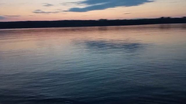 31569.mp4