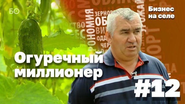 Бизнес на селе #12 | Огуречный миллионер из Арского района