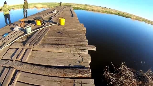 Рыбалка ПАУКОМ в СИБИРИ...