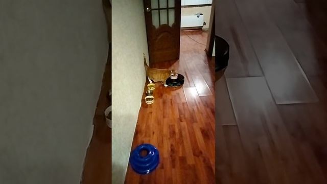 ДОСТАВКУ ЗАКАЗЫВАЛИ?
