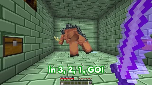 NOOB vs HACKER: I Cheated In a HOPPY HOPSCOTCH Build Challenge!