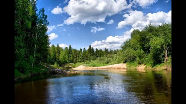 Диктант 6 класс