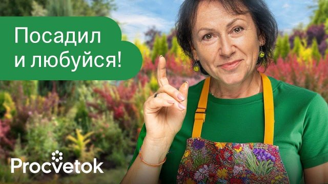 8 РОСКОШНЫХ КУСТАРНИКОВ, КОТОРЫМ ВООБЩЕ НЕ НУЖЕН УХОД!
