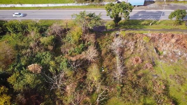 Чакви – самый уютный и развивающийся курорт Грузии. Русскоязычная школа.