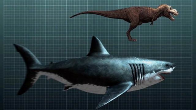 10 Ужасных Вымерших Животных и Вы Будете Счастливы, что Они Вымерли