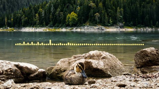 Раисат Магомедова - Ваши гу 2024