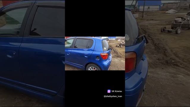 clip124879344_456239071.mp4