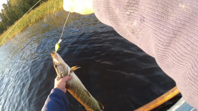 Воблер Evergreen System Jerk Bait Sledge 6