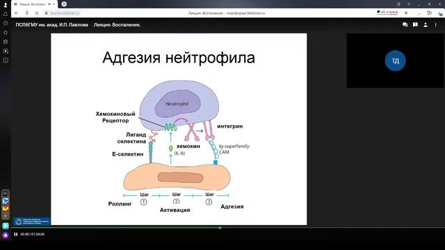 Воспаление