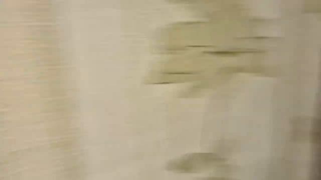 С Сайгачком беда