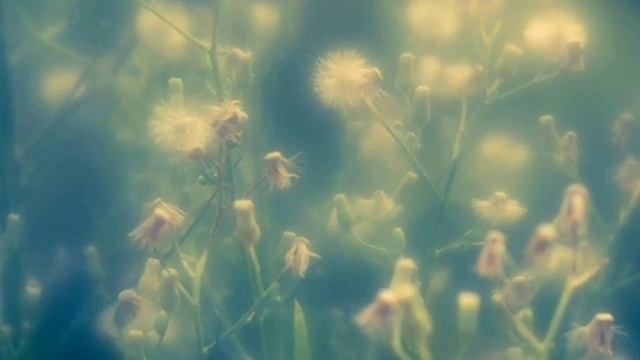 Валерий Гаврилин - Вечерняя музыка (Перезвоны)