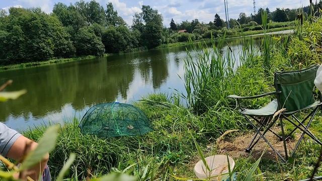 Как мы первый раз, раков ловили на раколовку зонтик