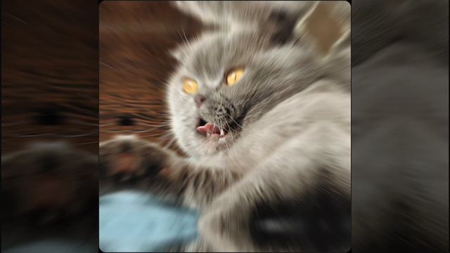 lv_6941319227726990594_20240301161504.mp4