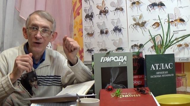 Что Такое Энтомология? Разделы Энтомологии. Сотрудничество. ЧАСТЬ-1.