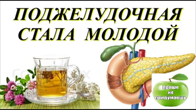Сильные травы для поджелудочной! Нормализуют сахар, устраняют Спазмы, Отечность, Омолаживают ткани