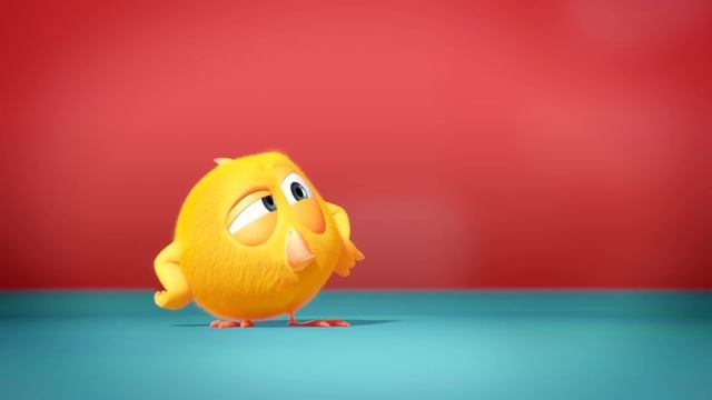 Where's Chicky Funny Chicky 2020 BABY CHICKY Chicky Cartoon in English for Kids