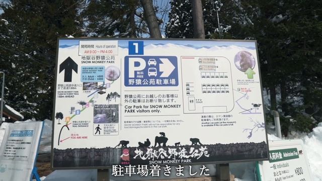 【長野観光】善光寺参り＆猿の温泉。世界でここだけの姿が可愛すぎる！