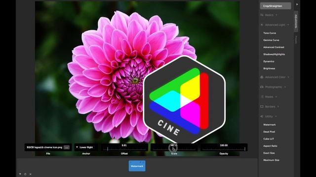 CameraBag Adjustments: Watermark (CameraBag Photo and CameraBag Pro)