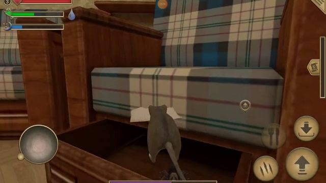 Симулятор мыши. Лес и дом.