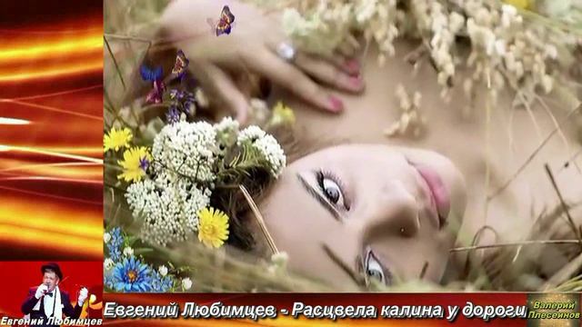 Евгений Любимцев - Расцвела калина у дороги