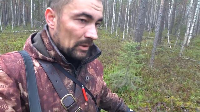 Охота на Глухаря и рябчика с подхода без собаки. Поход в тайгу.