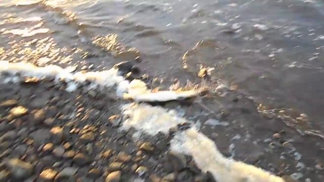 Трофейная рыбалка на Нельму! Река Обь Ямал!