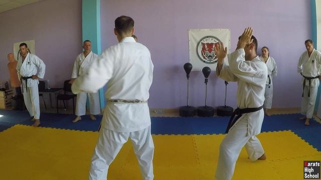 Аттестационные требования на 1 кю ФКР. Александр Чичварин