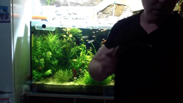 Понижение Ph с 8 до 6.5 - 7 в аквариуме