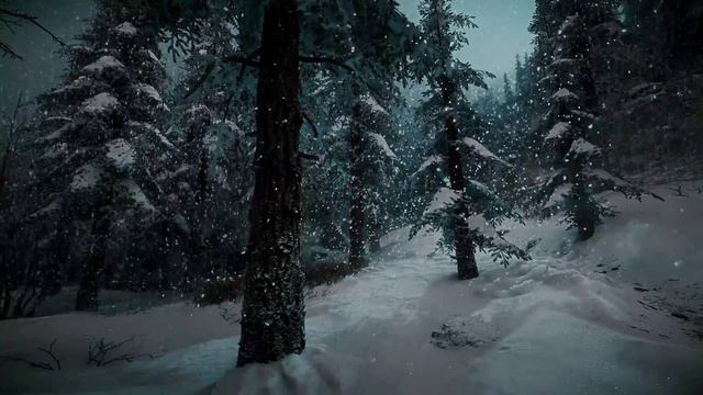 Звуки зимнего успокаивающего ветра ASMR в лесу для сна и отдыха