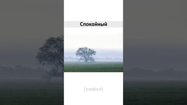 Tranquil_RU-EN