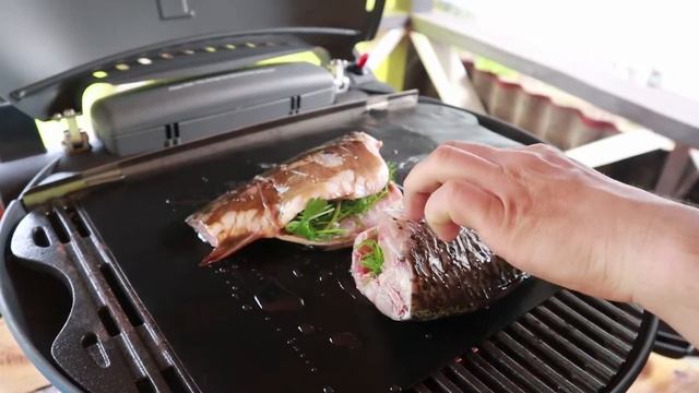 Обзор газового гриля O-Grill. Рецепт приготовлении карпа.