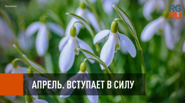 "РГ" объясняет: Какие нововведения вступают в силу в апреле