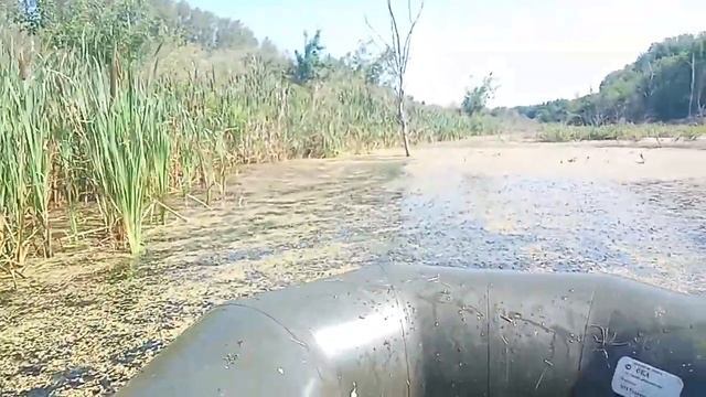 РЫБАЛКА НА МОРДУШКУ ВЕРШ! Отличный улов! Много щуки и карася