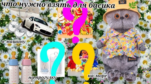 ЧТО ВЗЯТЬ БАСИКАМ В ДОРОГУ И НА ПРОГУЛКУ?!