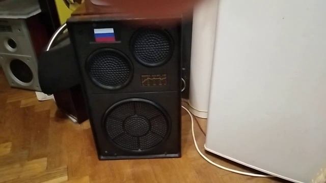 Пассивный излучатель в колонке!