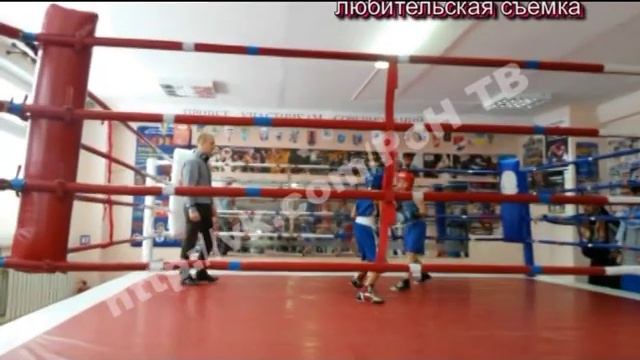 бокс