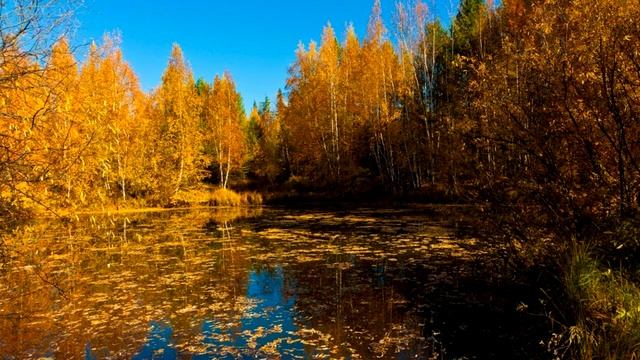 Лучшее давление для рыбалки , какое нормальное давление для рыбалки