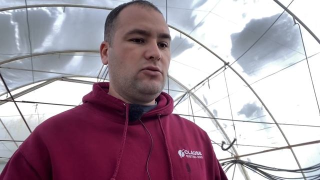 ВНЕСЕНИЕ ФОСФОГИПСА + ОТВЕТЫ НА ВОПРОСЫ