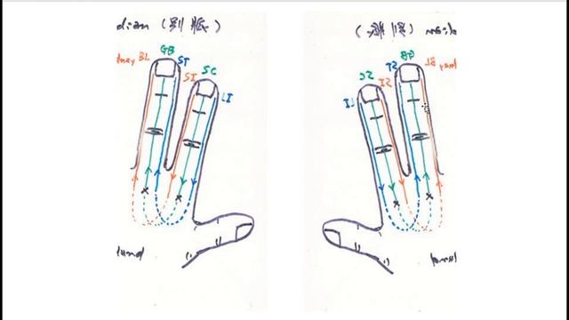 Для изучающих Су Джок акупунктуру. Алгоритмы лечения.