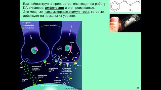 Дубынин Вячеслав - Мозг: медиаторы потребностей  (введение в нейрохимию и нейрофармакологию)