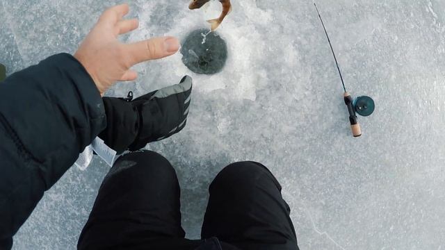 Лучший бюджетный балансир. Окунь со льда 2021. Балансиры Flagman Nostrum