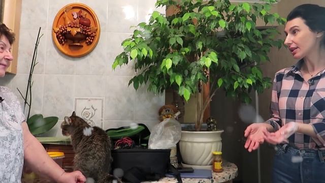 Очень ВКУСНЫЙ ВЫПУСК!!! Настоятельно РЕКОМЕНДУЕТСЯ к ПРОСМОТРУ!!! @Мамины рецепты ВО ВСЕЙ КРАСЕ!!!