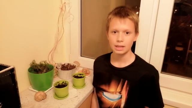 лабораторная работа по выращиванию фасоли по биологии ???как прорастает фасоль