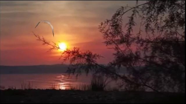 Николай Берег - Берег Счастья...