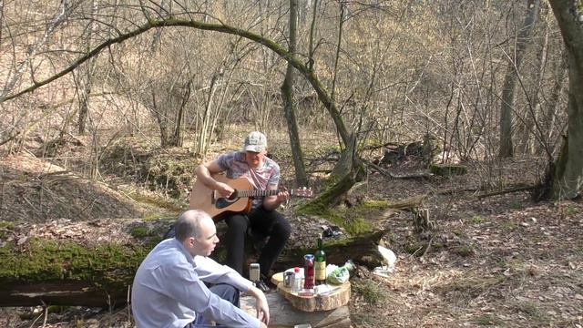 ДДТ - Ветер & Крематорий - Безобразная Эльза (кавер в Пуще-Водице 01.04.2021)