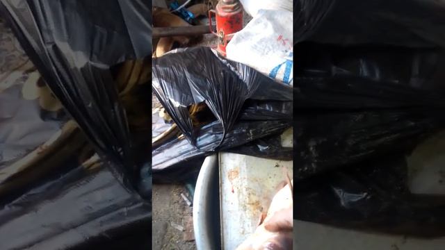 Зеркальный Карп сухой Посол (часть 1) советую посмотреть