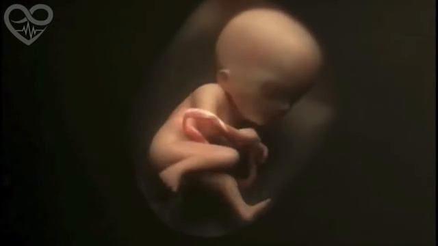 Как рождаются дети