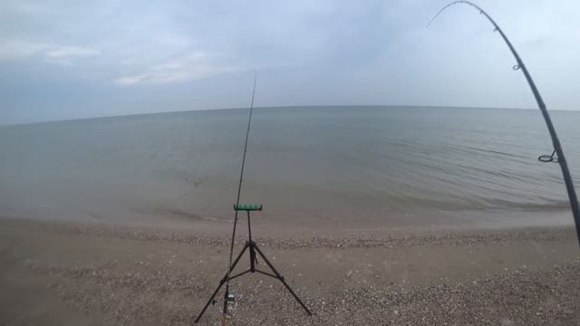 Рыбалка на пеленгаса!!!Как поймать пеленгаса ночью!!!!?Отчёт!