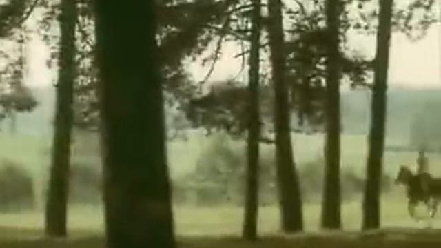 Когда твой друг в крови